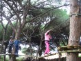 Tree top adventure park perto de Albufeira